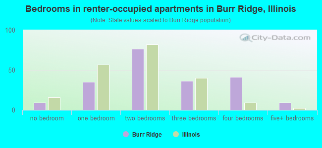 Bedrooms in renter-occupied apartments in Burr Ridge, Illinois