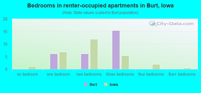 Bedrooms in renter-occupied apartments in Burt, Iowa