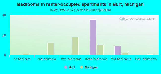 Bedrooms in renter-occupied apartments in Burt, Michigan