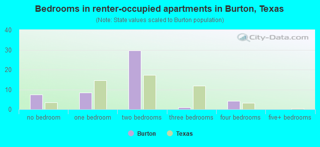 Bedrooms in renter-occupied apartments in Burton, Texas