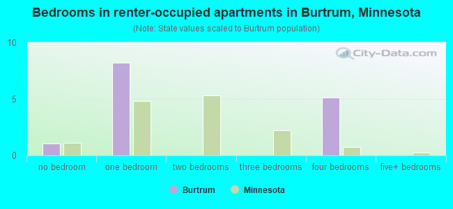 Bedrooms in renter-occupied apartments in Burtrum, Minnesota