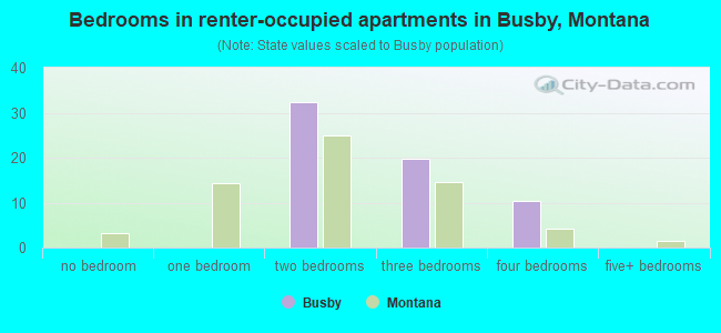 Bedrooms in renter-occupied apartments in Busby, Montana