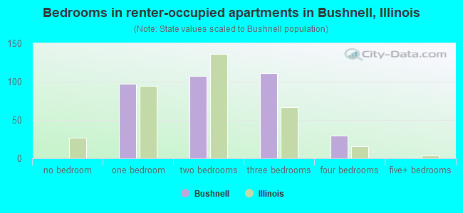 Bedrooms in renter-occupied apartments in Bushnell, Illinois