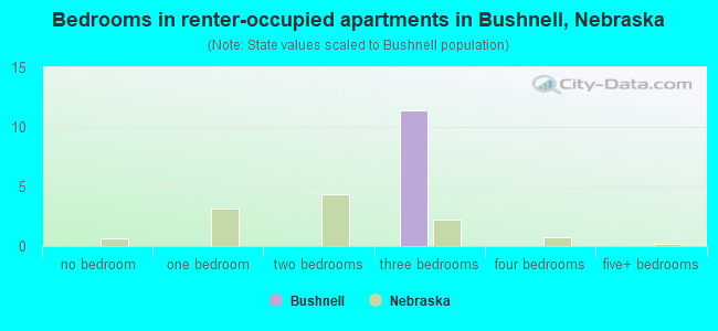 Bedrooms in renter-occupied apartments in Bushnell, Nebraska