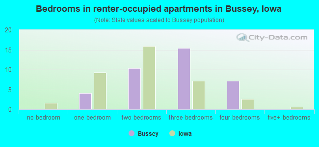 Bedrooms in renter-occupied apartments in Bussey, Iowa