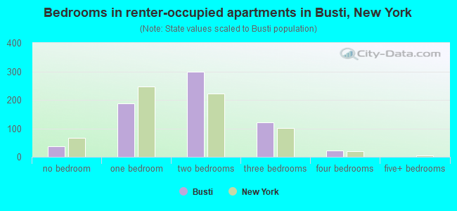 Bedrooms in renter-occupied apartments in Busti, New York