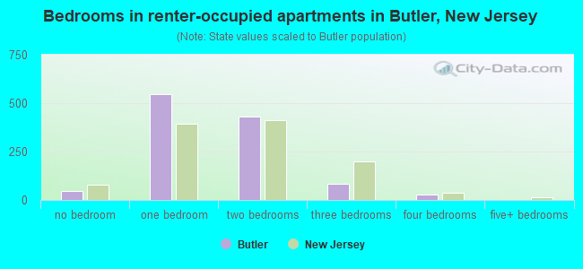 Bedrooms in renter-occupied apartments in Butler, New Jersey