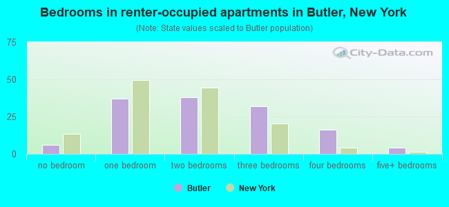 Bedrooms in renter-occupied apartments in Butler, New York