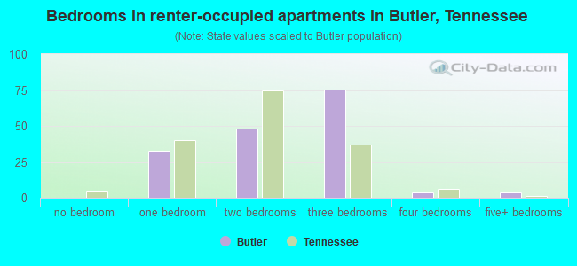 Bedrooms in renter-occupied apartments in Butler, Tennessee