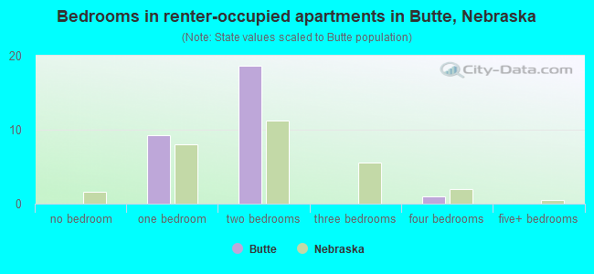 Bedrooms in renter-occupied apartments in Butte, Nebraska
