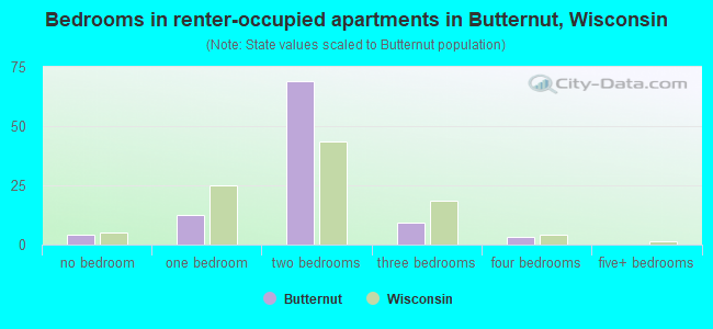 Bedrooms in renter-occupied apartments in Butternut, Wisconsin