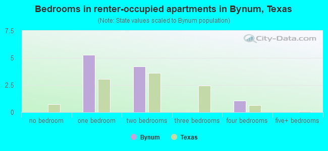 Bedrooms in renter-occupied apartments in Bynum, Texas