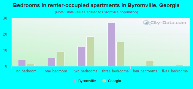 Bedrooms in renter-occupied apartments in Byromville, Georgia