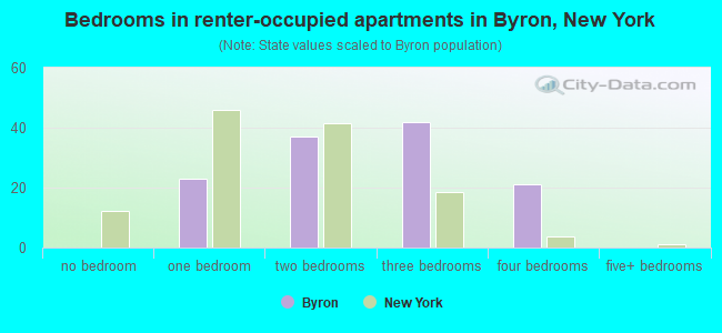 Bedrooms in renter-occupied apartments in Byron, New York