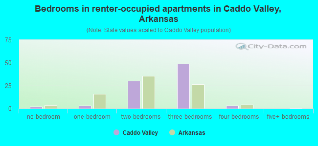 Bedrooms in renter-occupied apartments in Caddo Valley, Arkansas