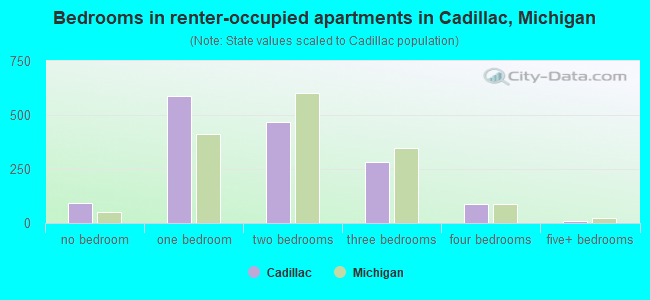 Bedrooms in renter-occupied apartments in Cadillac, Michigan