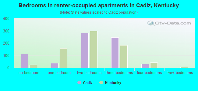 Bedrooms in renter-occupied apartments in Cadiz, Kentucky