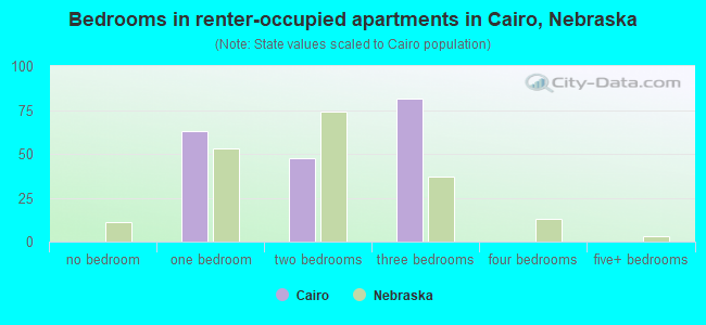 Bedrooms in renter-occupied apartments in Cairo, Nebraska