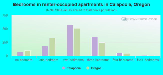 Bedrooms in renter-occupied apartments in Calapooia, Oregon