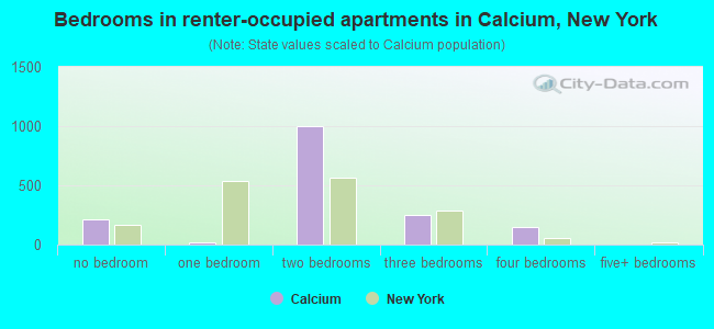 Bedrooms in renter-occupied apartments in Calcium, New York