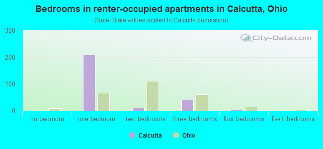Bedrooms in renter-occupied apartments in Calcutta, Ohio