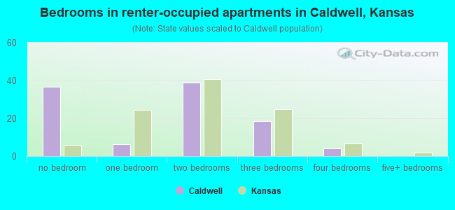 Bedrooms in renter-occupied apartments in Caldwell, Kansas