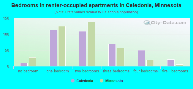Bedrooms in renter-occupied apartments in Caledonia, Minnesota