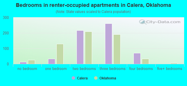Bedrooms in renter-occupied apartments in Calera, Oklahoma