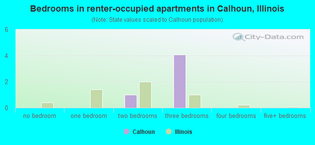 Bedrooms in renter-occupied apartments in Calhoun, Illinois