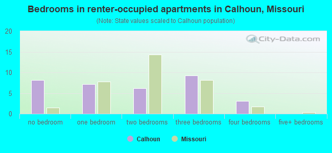Bedrooms in renter-occupied apartments in Calhoun, Missouri