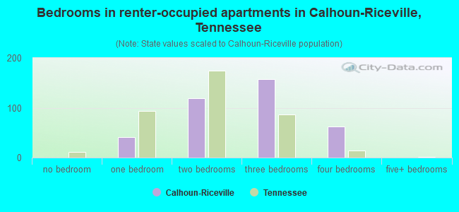 Bedrooms in renter-occupied apartments in Calhoun-Riceville, Tennessee