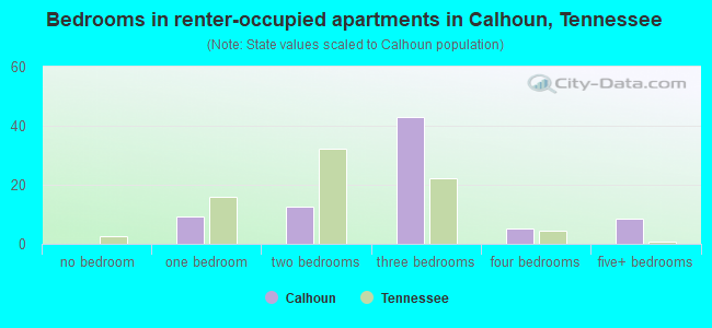 Bedrooms in renter-occupied apartments in Calhoun, Tennessee