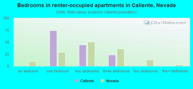 Bedrooms in renter-occupied apartments in Caliente, Nevada
