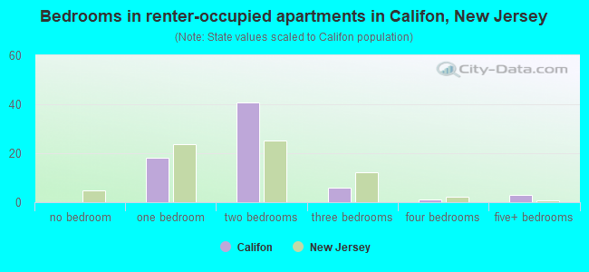 Bedrooms in renter-occupied apartments in Califon, New Jersey