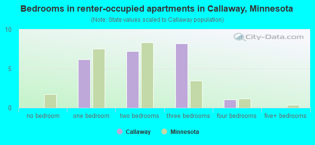 Bedrooms in renter-occupied apartments in Callaway, Minnesota
