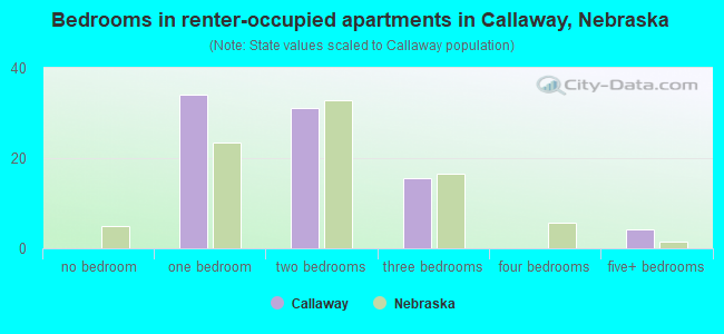 Bedrooms in renter-occupied apartments in Callaway, Nebraska