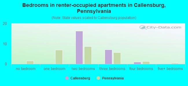 Bedrooms in renter-occupied apartments in Callensburg, Pennsylvania