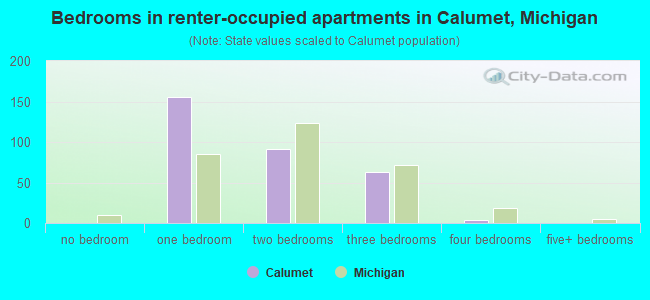 Bedrooms in renter-occupied apartments in Calumet, Michigan