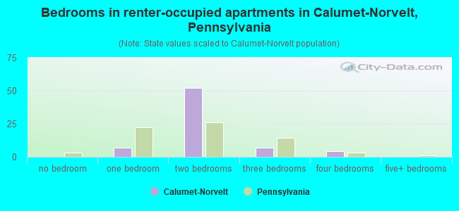Bedrooms in renter-occupied apartments in Calumet-Norvelt, Pennsylvania