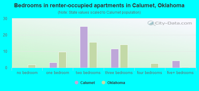 Bedrooms in renter-occupied apartments in Calumet, Oklahoma
