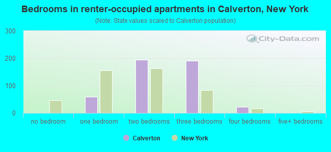 Bedrooms in renter-occupied apartments in Calverton, New York