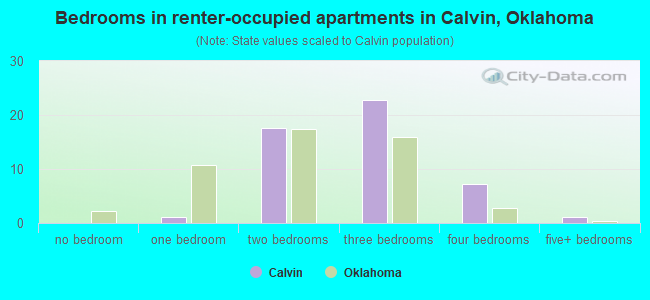 Bedrooms in renter-occupied apartments in Calvin, Oklahoma