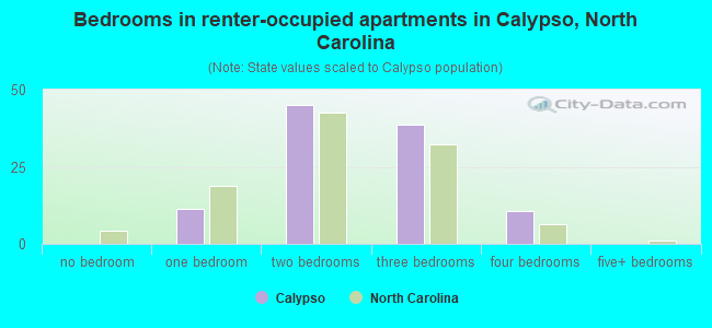 Bedrooms in renter-occupied apartments in Calypso, North Carolina