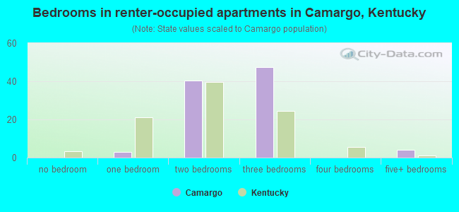 Bedrooms in renter-occupied apartments in Camargo, Kentucky