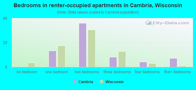 Bedrooms in renter-occupied apartments in Cambria, Wisconsin