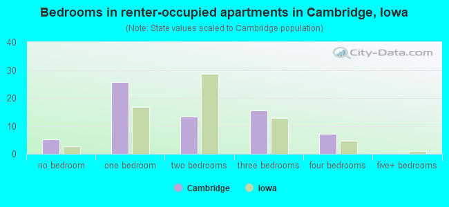 Bedrooms in renter-occupied apartments in Cambridge, Iowa