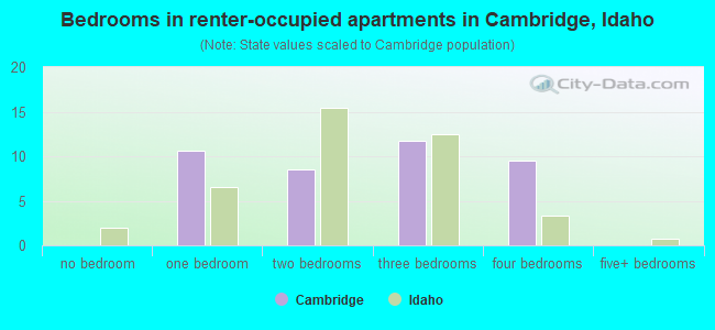 Bedrooms in renter-occupied apartments in Cambridge, Idaho