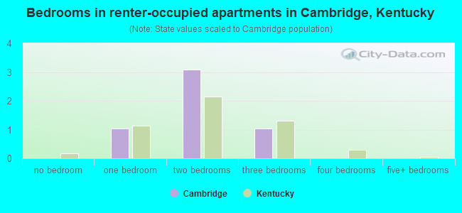 Bedrooms in renter-occupied apartments in Cambridge, Kentucky