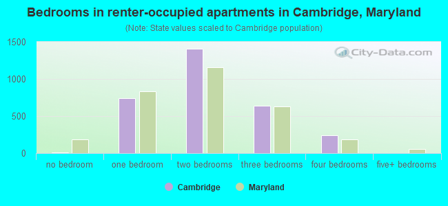 Bedrooms in renter-occupied apartments in Cambridge, Maryland
