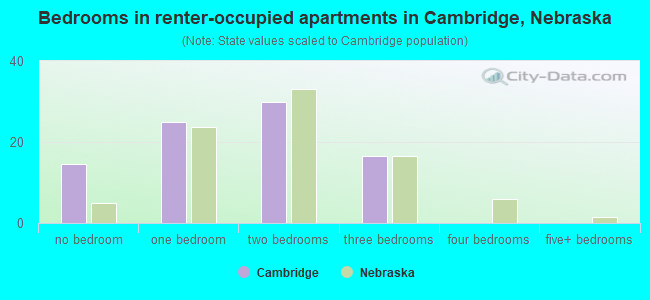 Bedrooms in renter-occupied apartments in Cambridge, Nebraska